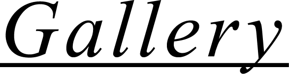 ギャラリー